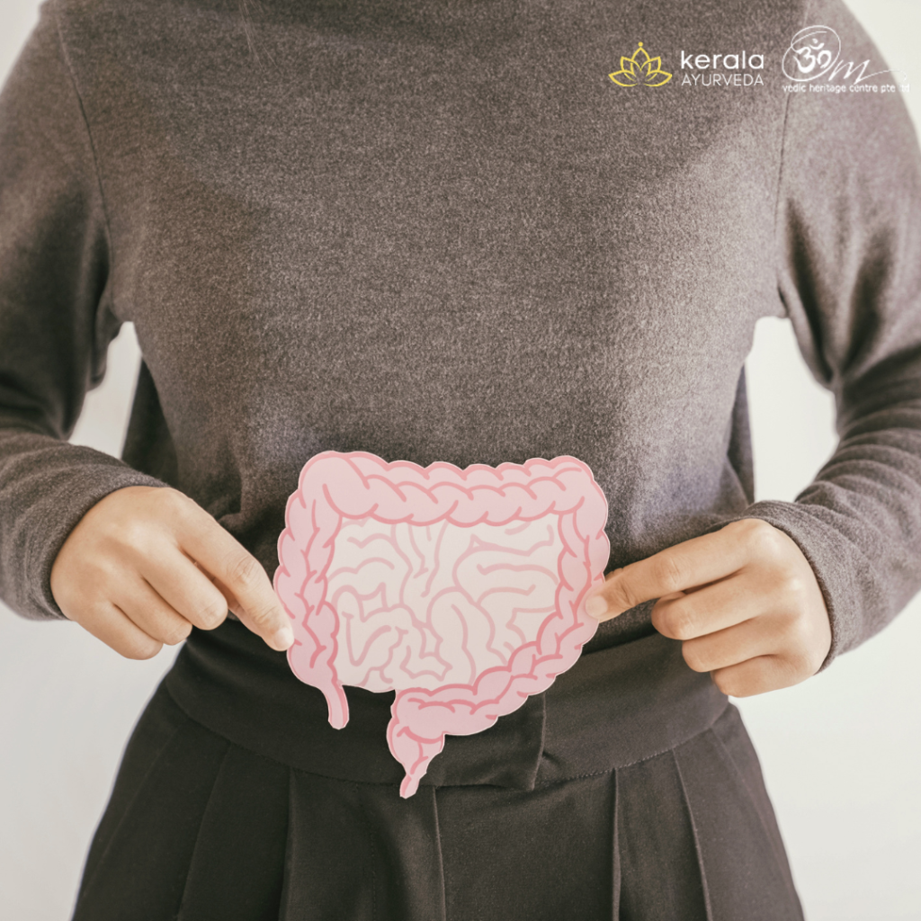 digestive health