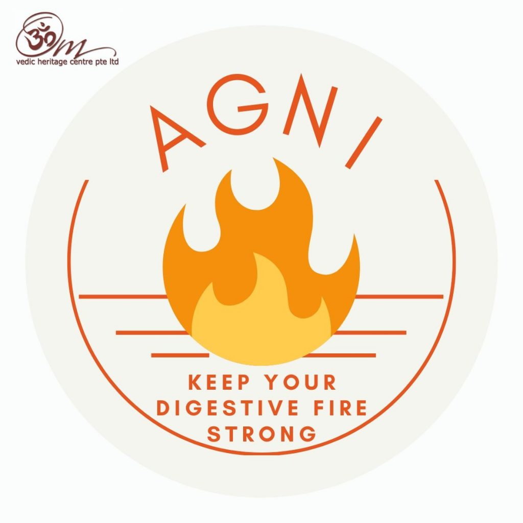 Share more than 122 agni logo best - camera.edu.vn